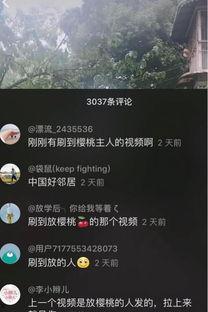 邻居 在线视频国产,邻居在线视频平台引领国产影视新潮流