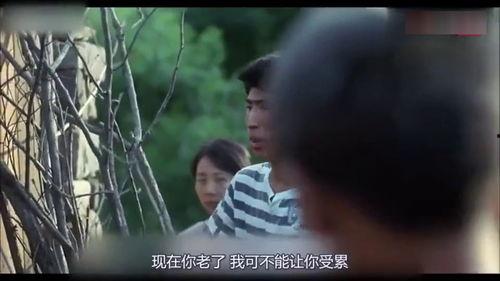 邻居 在线视频国产,邻居在线视频平台引领国产影视新潮流