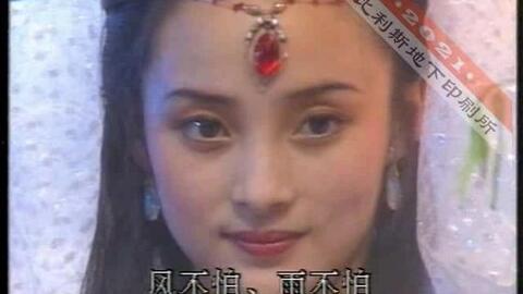 国产片看视频佛陀,穿越时空的智慧之光