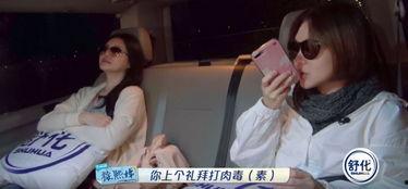 美女国产综艺节目视频,国产综艺美女风采大赏