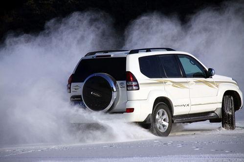 国产suv翻车视频播放,惊险瞬间！国产SUV翻车视频引发网友热议