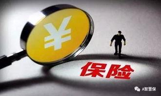 国产视频不为盈利论坛,非盈利精神下的创意火花