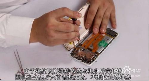 拆解国产雪茄视频播放,工艺与品质的深度解析