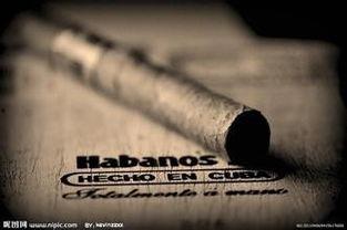 国产雪茄常识介绍视频,传统工艺与现代风情的完美融合