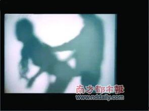 国产mv视频播放免费,国产MV视频播放新体验