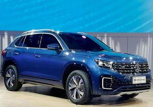 国产版探岳视频,驾驭科技，尽享驾驶新境界