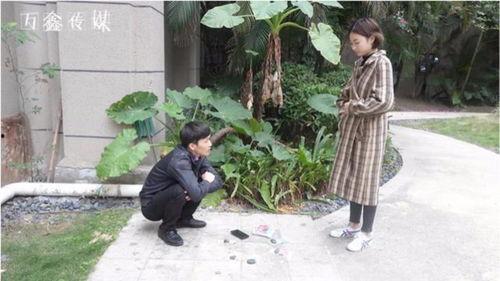 国产骗局恶搞视频大全集,笑中带泪的幽默讽刺