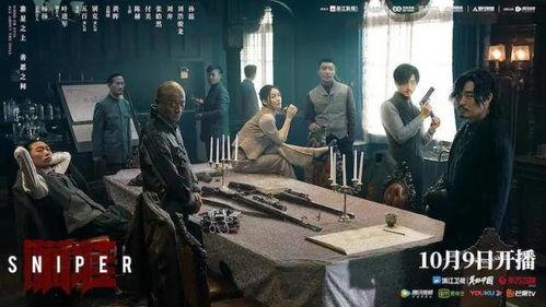 视频国产剧《瞄准》全集,谍战风云下的生死较量