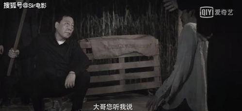 弃坑国产雪茄视频,揭秘雪茄制作背后的真相与遗憾