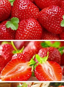 草莓视频国产a大片免费下载,国产大片免费下载，尽享视听盛宴