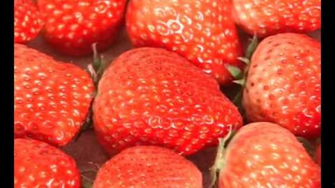 草莓视频国产a大片免费下载,国产大片免费下载，尽享视听盛宴