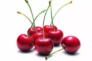 国产大樱桃卖家是谁呀视频,探寻优质樱桃的源头