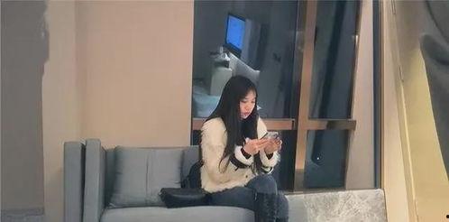 国产探花系列在线视频,揭秘中国影视新星的崛起之路