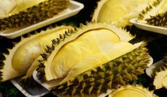 国产榴莲上市品尝视频,视频带你一尝地道风味