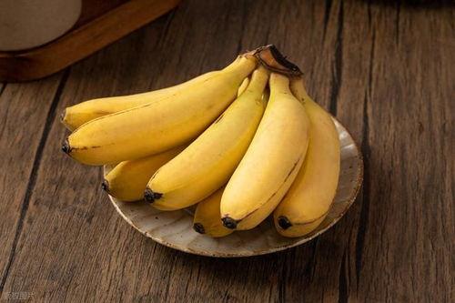 香蕉国产成版视频在线