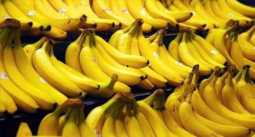 香蕉国产成版视频在线