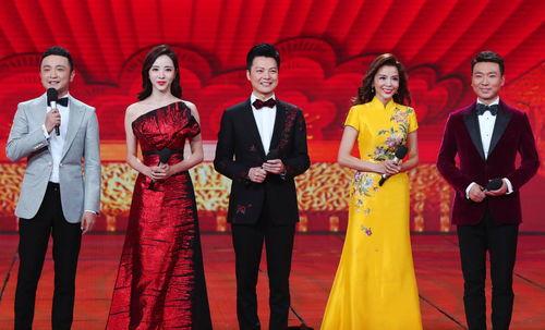 国产剧晚会惊艳视频,光影交织，演绎时代华章