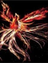 国产朱雀玩具视频,创意无限，童趣盎然  第2张